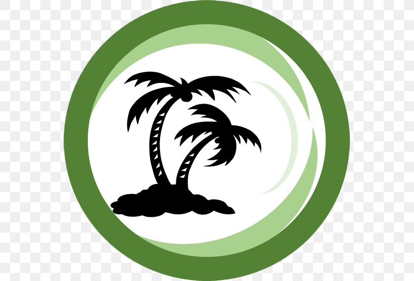 Jensen Beach Stuart Arecaceae Tree, PNG, 567x556px, Jensen Beach, Accommodation, Arecaceae, Autocad Dxf, Florida Download Free
