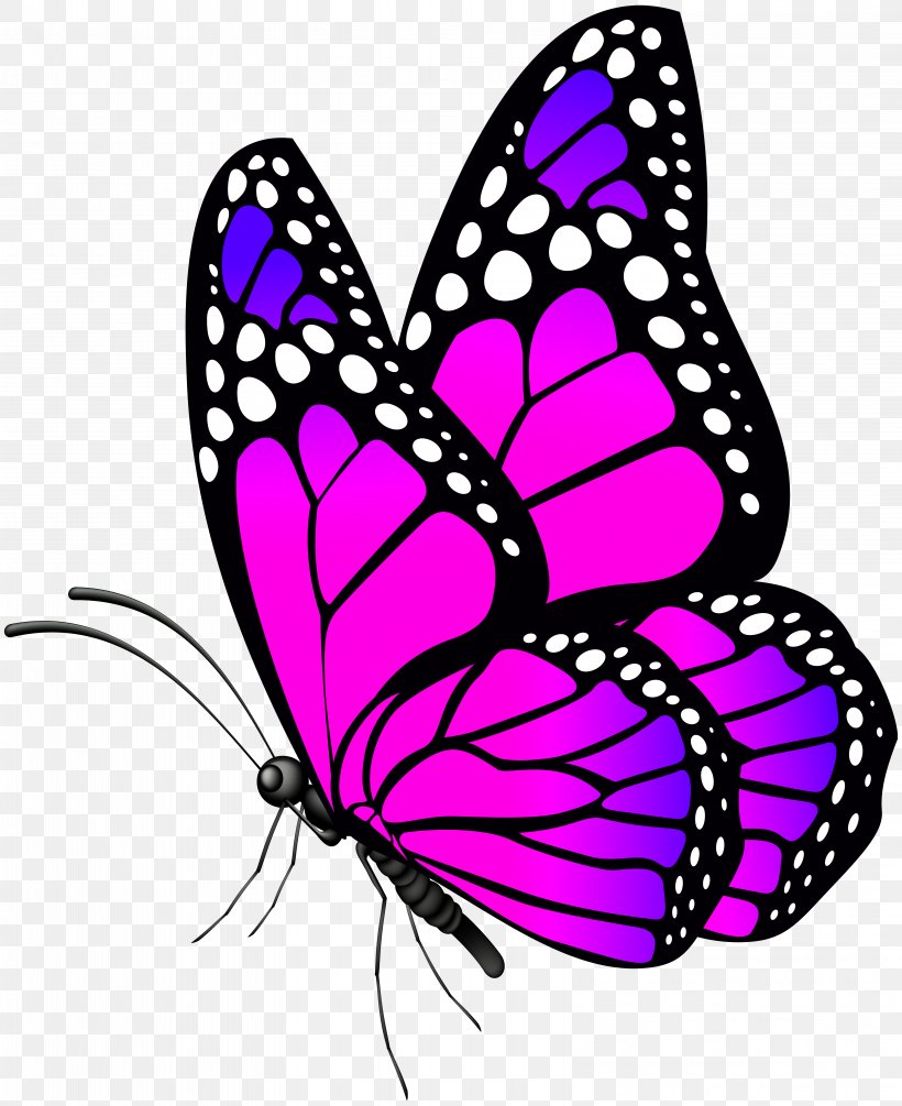 Butterfly Desktop Wallpaper Clip Art, PNG, 6521x8000px, Butterfly, Artwork, Blue, Brush Footed Butterfly, Butterflies And Moths Download Free
