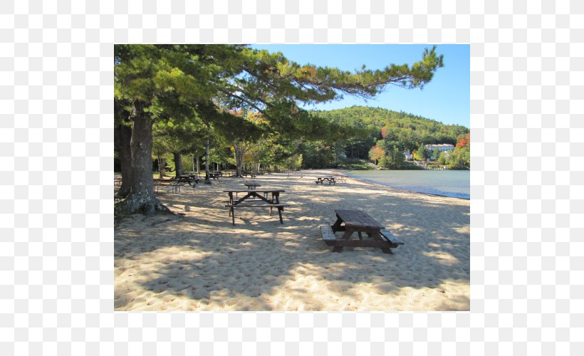 Landscape State Park Tree Land Lot, PNG, 500x500px, Landscape, Bench, Grass, Land Lot, Outdoor Furniture Download Free