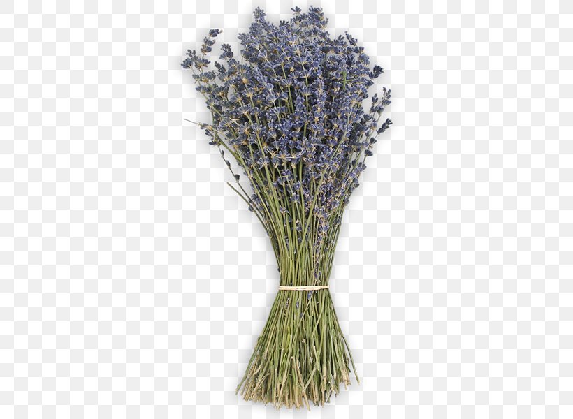 Lavender Grasses Commodity, PNG, 600x600px, Lavender, Commodity, Grass, Grass Family, Grasses Download Free