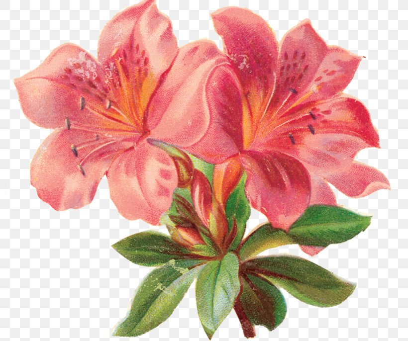 Paper Cross-stitch Flower Clip Art, PNG, 800x686px, Paper, Alstroemeriaceae, Azalea, Crossstitch, Decoupage Download Free