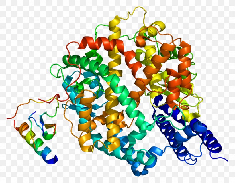 ACE Inhibitor Angiotensin-converting Enzyme 2, PNG, 911x712px, Ace Inhibitor, Active Site, Angiotensin, Angiotensin 17, Angiotensin I Download Free