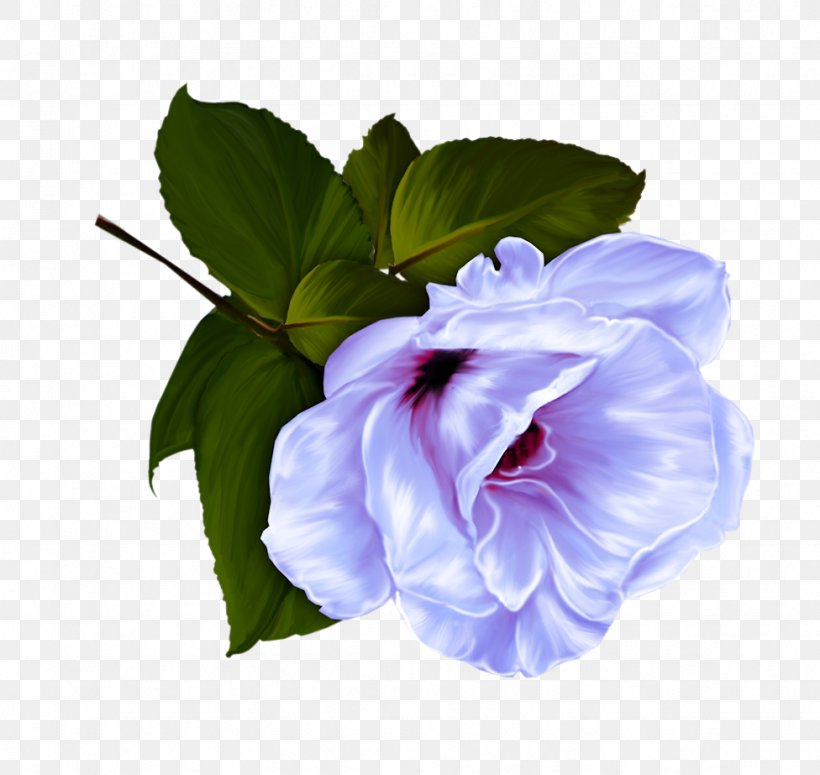 Flower Яндекс.Фотки Yandex .ru, PNG, 976x923px, Flower, Cut Flowers, Floral Design, Flowering Plant, Internet Download Free