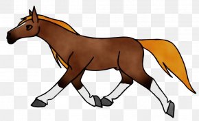 Livestock Horse Supplies - Horse Cartoon PNG