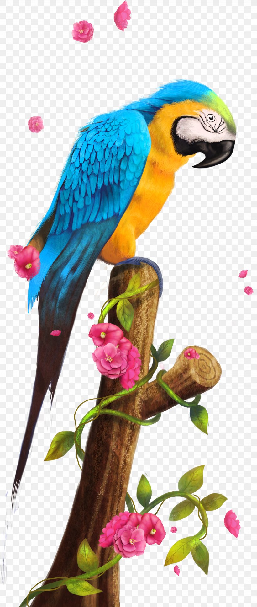 Parrot Nest Bird Clip Art, PNG, 3199x7546px, Parrot, Android, Beak, Bird, Cage Download Free