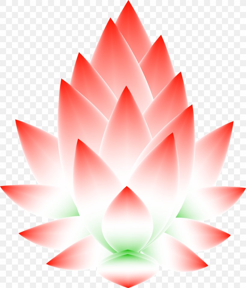 Sacred Lotus Flower Stock.xchng Seed Petal, PNG, 1095x1280px, Sacred Lotus, Aquatic Plants, Close Up, Flower, Lotus Download Free