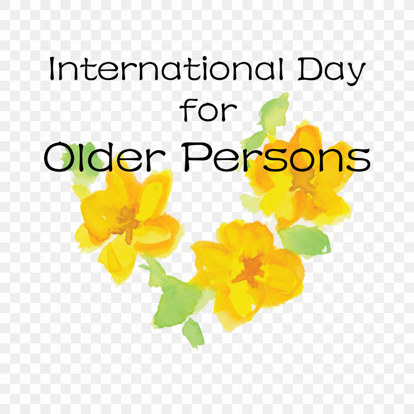 International Day For Older Persons, PNG, 3000x3000px, International Day For Older Persons, Biology, Cut Flowers, Flower, Meter Download Free