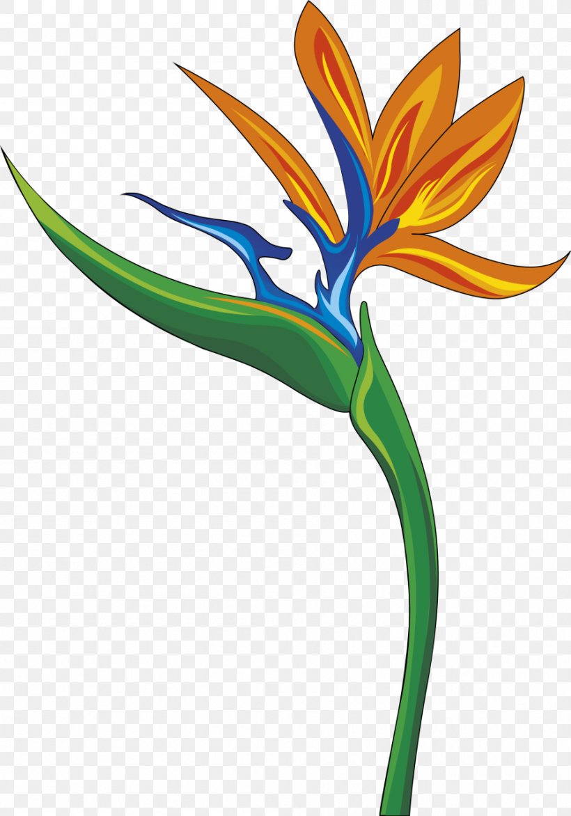 T-shirt Bird Of Paradise Flower Clothing, PNG, 897x1283px, Tshirt, Artwork, Bird, Bird Of Paradise Flower, Birdofparadise Download Free