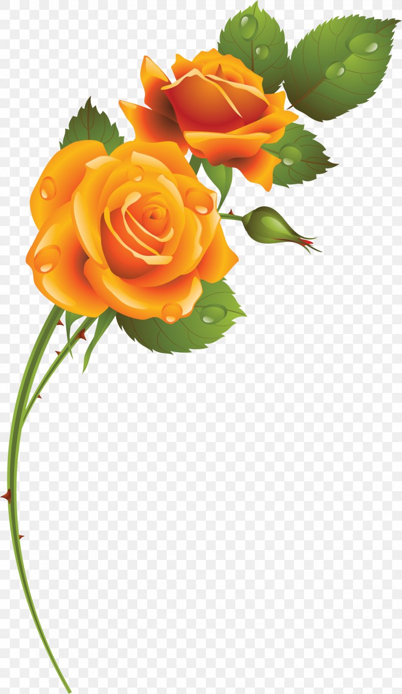 Cut Flowers Garden Roses Rosaceae, PNG, 1555x2681px, Flower, Cut Flowers, Floral Design, Floristry, Flower Arranging Download Free