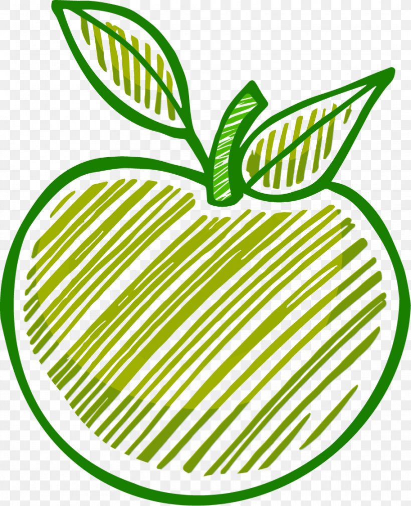 Premium Vector | Green apple with leaves