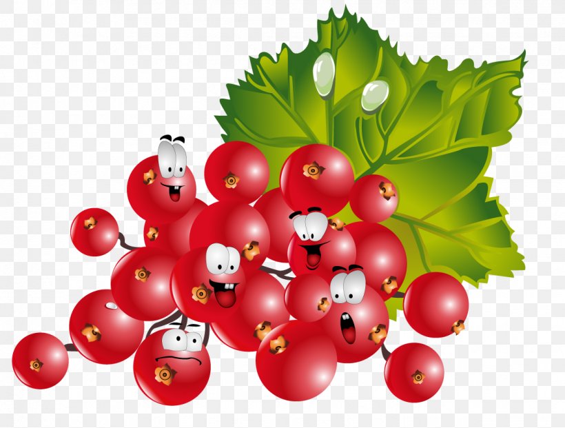 Frutti Di Bosco Redcurrant Fruit Vegetable, PNG, 1123x851px, Redcurrant, Aquifoliaceae, Aquifoliales, Auglis, Berry Download Free