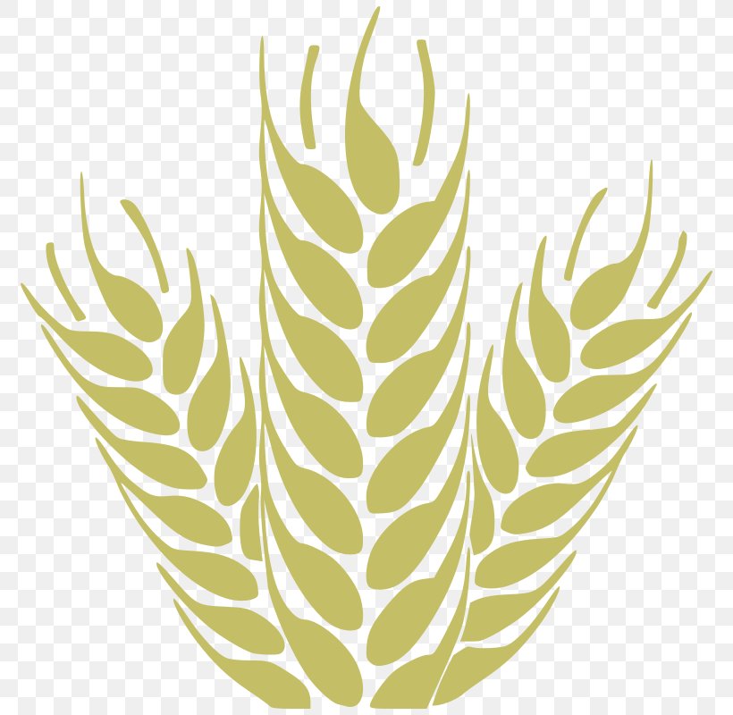 Beer Grain Wheat Clip Art, PNG, 788x800px, Beer, Ancient Grains, Barley, Commodity, Corn Kernel Download Free