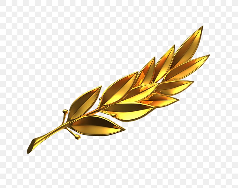 Branch Gold Laurel Wreath, PNG, 650x650px, Branch, Bay Laurel, Commodity, Flower, Gold Download Free