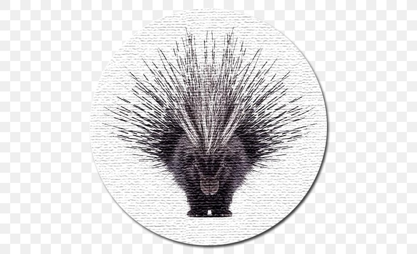 Crested Porcupine Dog North American Porcupine Horse, PNG, 550x500px, Crested Porcupine, Animal, Black And White, Cape Porcupine, Dog Download Free