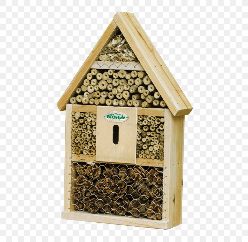Insect Hotel Beetle Balance Of Nature Green Lacewings, PNG, 600x800px, Insect Hotel, Balance Of Nature, Bee, Beehive, Beetle Download Free