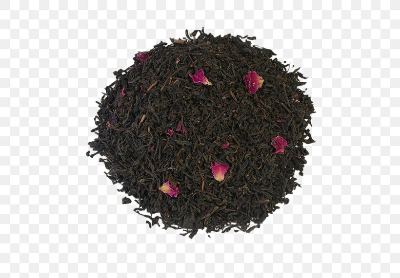 Nilgiri Tea Dianhong Magenta Tea Plant, PNG, 500x571px, Nilgiri Tea, Assam Tea, Ceylon Tea, Da Hong Pao, Dianhong Download Free