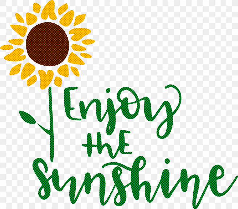 Sunshine Enjoy The Sunshine, PNG, 2999x2635px, Sunshine, Catherine Duchess Of Cambridge, Cut Flowers, Floral Design, Logo Download Free