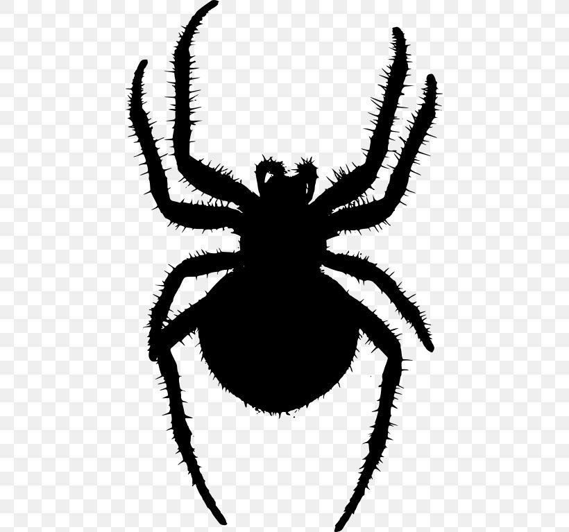 Angulate Orbweavers Spider Web Clip Art, PNG, 457x767px, Angulate Orbweavers, Arachnid, Araneus, Arthropod, Black And White Download Free