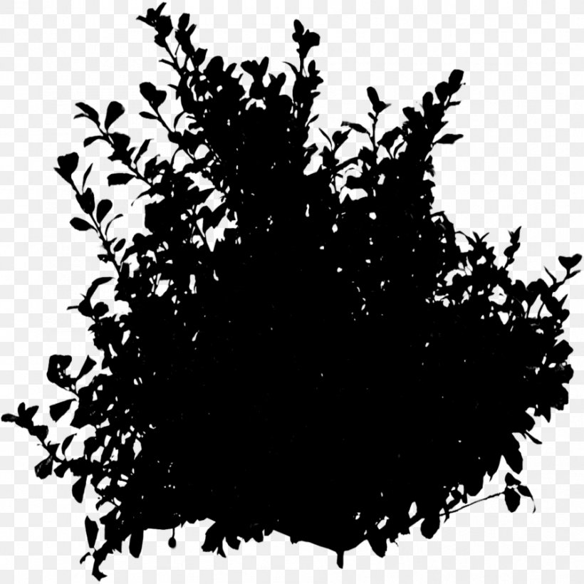 Clip Art Hedge Twig Image, PNG, 894x894px, Hedge, Blackandwhite, Box, Buxus Sempervirens, Garden Download Free