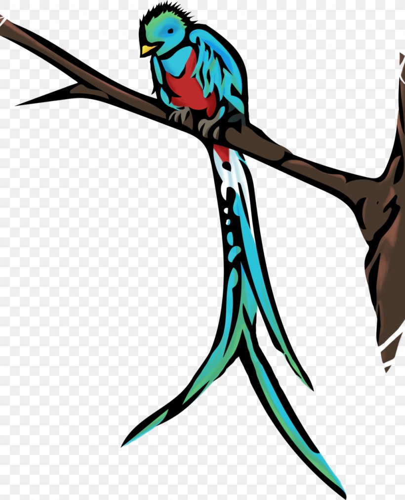 Guatemala Bird Resplendent Quetzal Clip Art, PNG, 1024x1263px, Guatemala, Artwork, Beak, Bird, Common Pet Parakeet Download Free