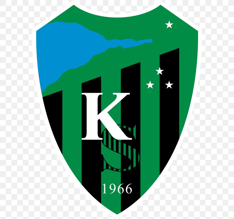 Kocaelispor İsmet Paşa Stadium TFF Third League TFF 1. League Süper Lig, PNG, 595x767px, Kocaelispor, Area, Brand, Football, Green Download Free