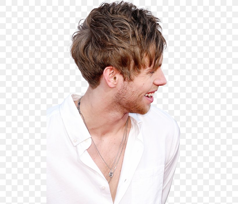 Luke Hemmings 5 Seconds Of Summer YouTube Love, PNG, 500x705px, Watercolor, Cartoon, Flower, Frame, Heart Download Free