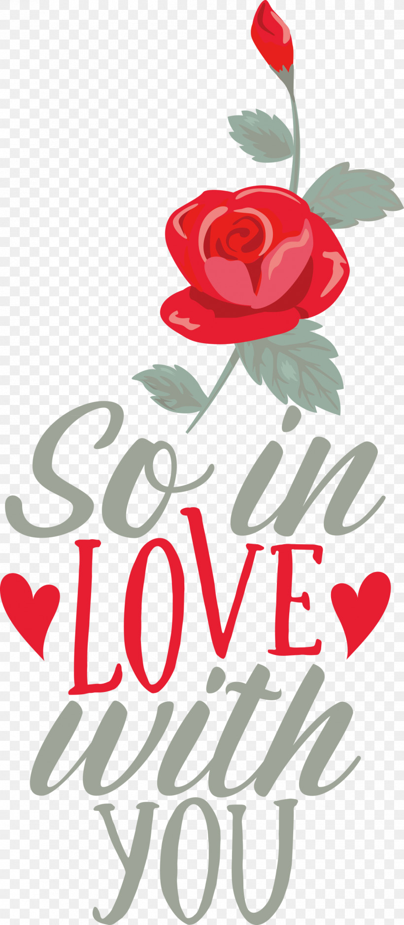 So In Love With You Valentines Day Valentine, PNG, 1313x3000px, Valentines Day, Cut Flowers, Floral Design, Garden, Garden Roses Download Free