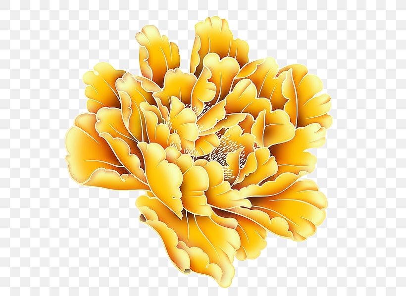 Yellow Moutan Peony, PNG, 582x598px, Yellow, Cut Flowers, Floral Design, Floristry, Flower Download Free
