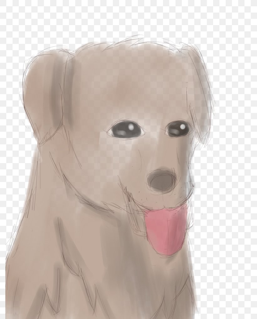 Dog Breed Puppy Sporting Group Retriever Ear, PNG, 786x1017px, Watercolor, Cartoon, Flower, Frame, Heart Download Free