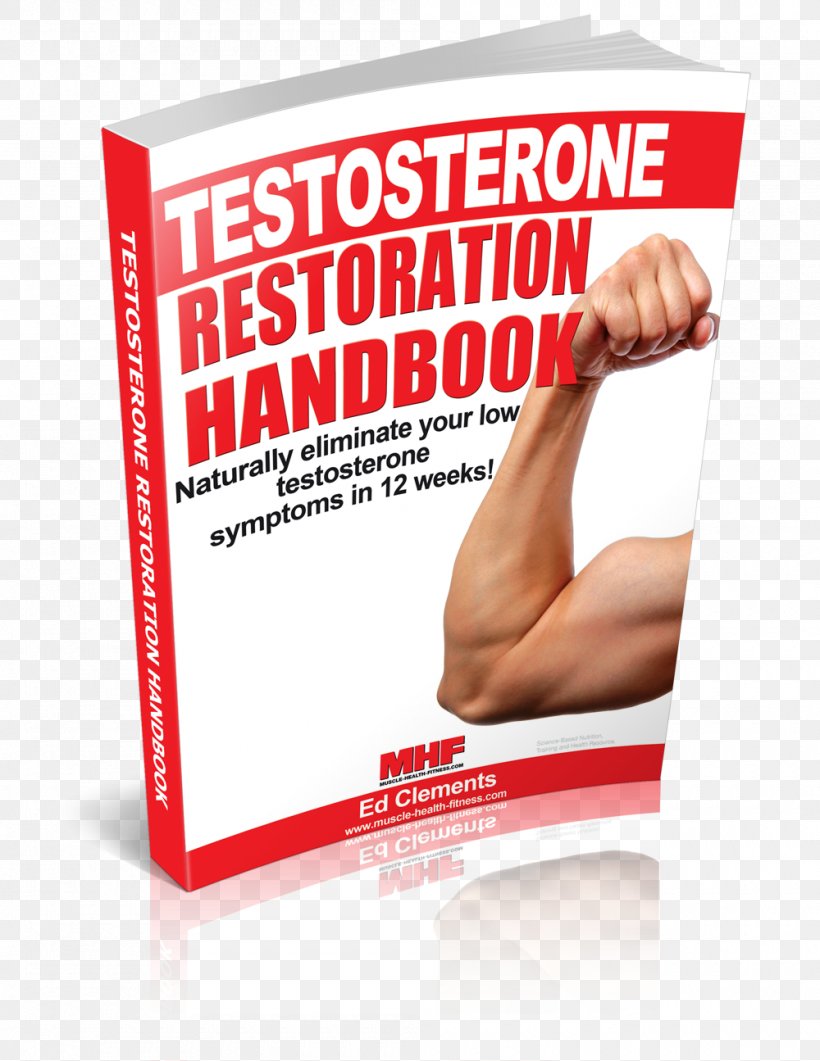 Testosterone Hypogonadism Medical Sign Symptom Prolactinoma, PNG, 1000x1295px, Testosterone, Abdomen, Abdominal Pain, Advertising, Book Download Free