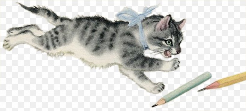 Fairy Tale Book Verse Reading Childrens Literature, PNG, 1890x854px, Fairy Tale, American Shorthair, Author, Book, Carnivoran Download Free