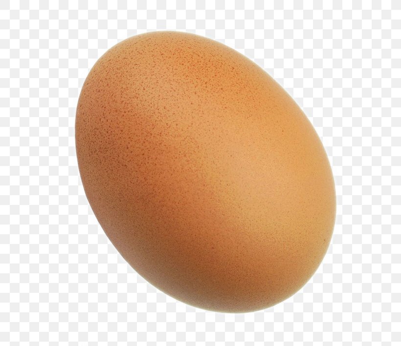 Big Bird Egg, PNG, 690x709px, Egg, Close Up Download Free