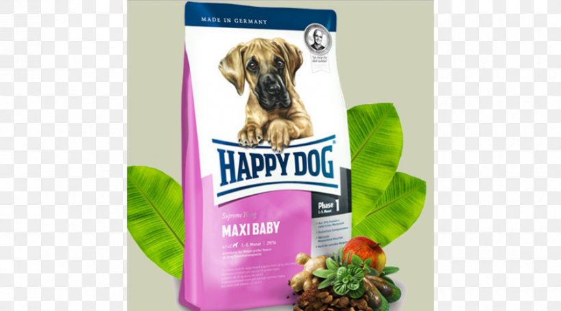Dog Food Puppy Torrfoder Breed, PNG, 900x500px, Dog, Animal, Brand, Breed, Cat Download Free