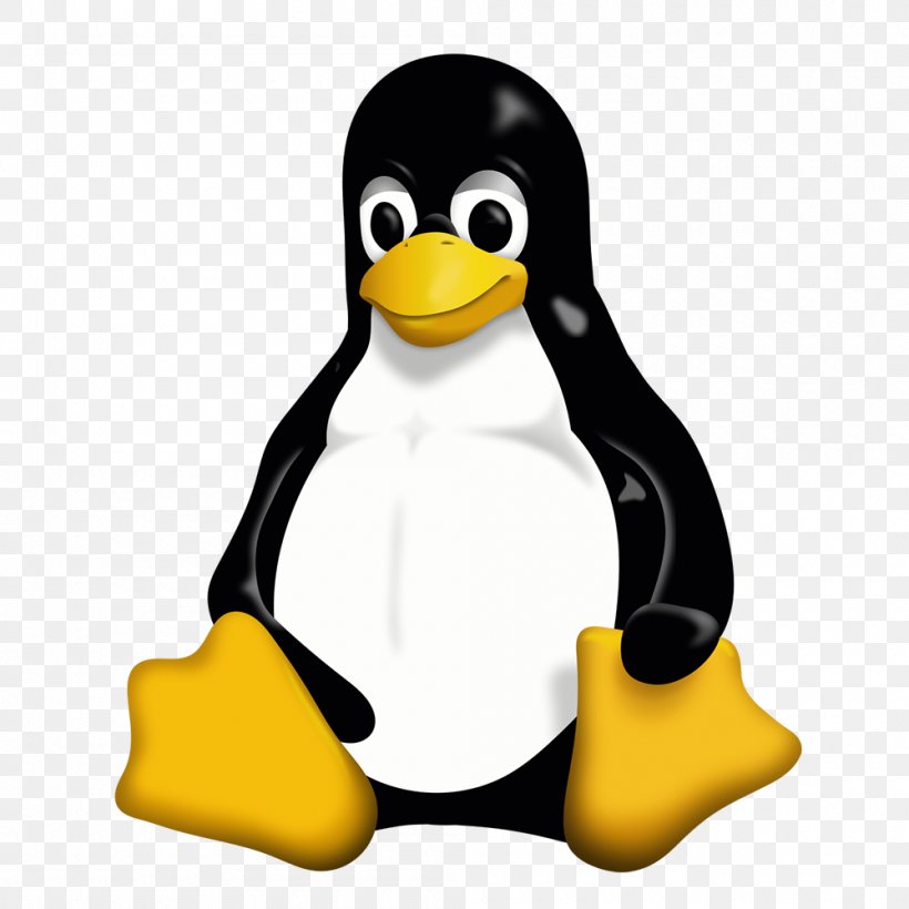Linux Distribution Tux Operating Systems, PNG, 1000x1000px, Linux, Arch Linux, Beak, Bird, Computer Software Download Free