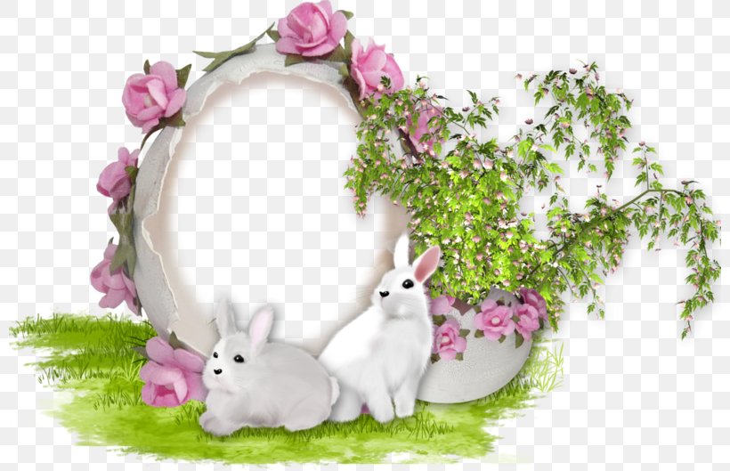 Easter GIF Image Hidden Picture Puzzles, PNG, 800x529px, Easter, Book, Domestic Rabbit, Easter Bunny, Flower Download Free