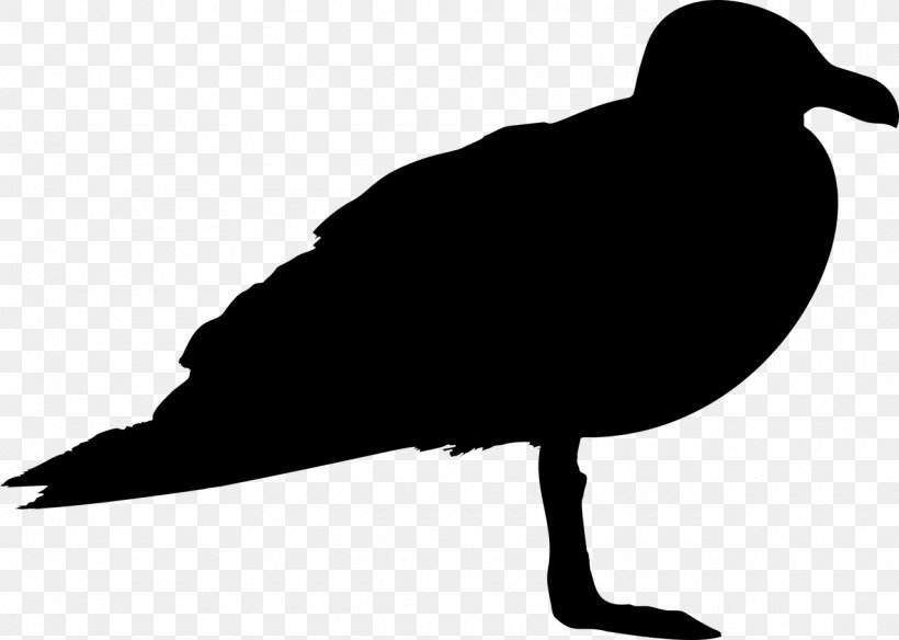 Gulls Bird Silhouette Clip Art, PNG, 1280x912px, Gulls, Beak, Bird, Black And White, Drawing Download Free