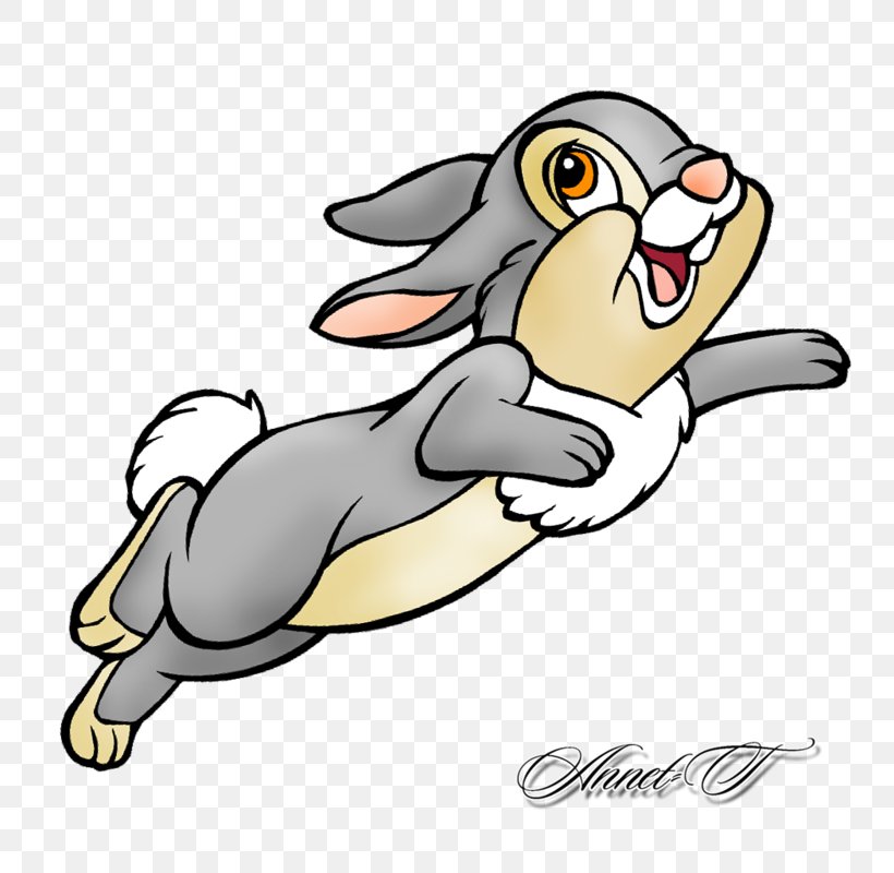 Thumper Rabbit Show Jumping Clip Art, PNG, 800x800px, Thumper, Animation, Artwork, Bambi, Beak Download Free
