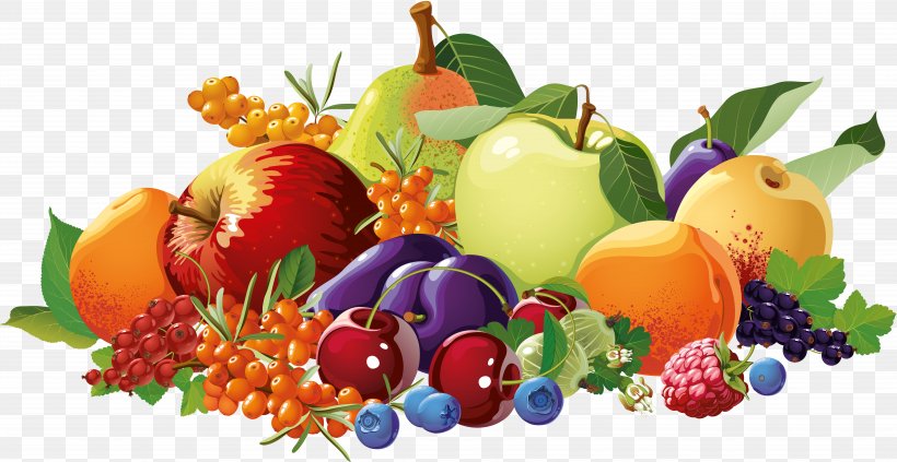 Vegetarian Cuisine Berry Fruit Food Drawing, PNG, 9784x5058px, Vegetarian Cuisine, Berry, Diet Food, Drawing, Food Download Free