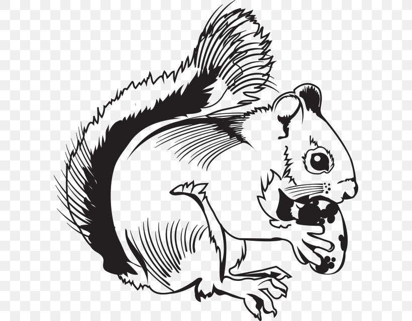 Beaver Mouse Drawing Line Art Clip Art, PNG, 606x640px, Beaver, Art, Artwork, Black And White, Canidae Download Free
