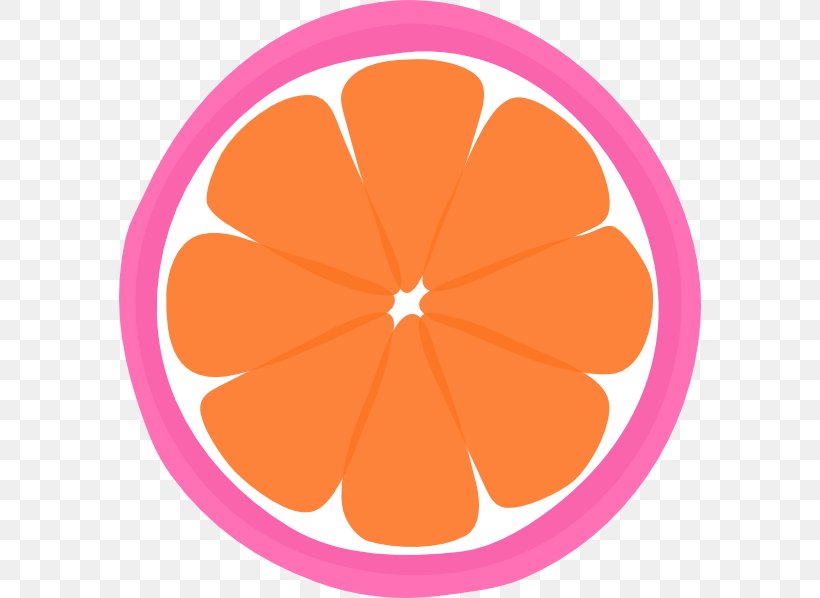 Mandarin Orange Tangerine Clip Art, PNG, 582x598px, Mandarin Orange, Art, Citrus, Flower, Fruit Download Free