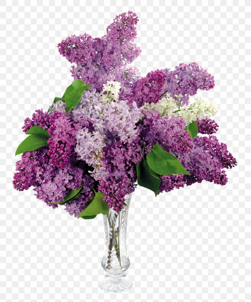 Common Lilac Flower Bouquet Desktop Wallpaper, PNG, 1327x1600px, Common Lilac, Branch, Cut Flowers, Display Resolution, Floral Design Download Free
