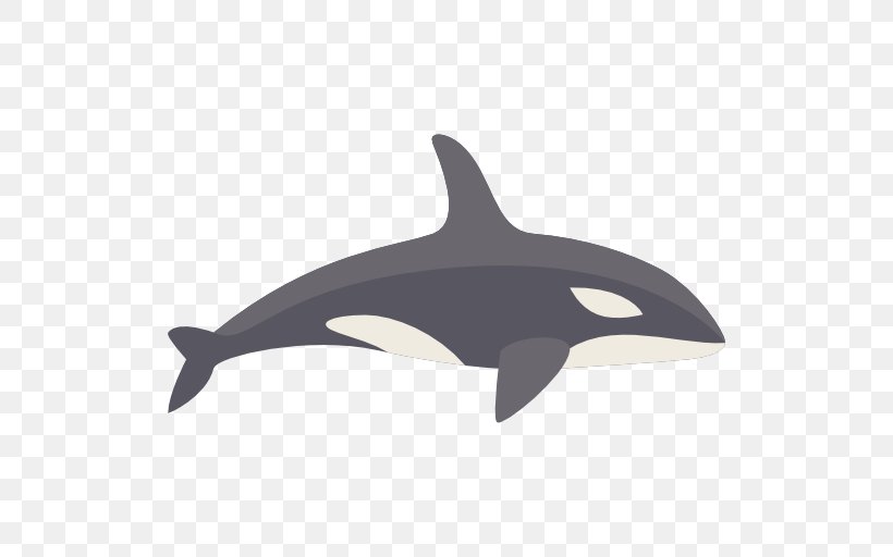 Dolphin Killer Whale Animal Icon, PNG, 512x512px, Dolphin, Animal, Beluga Whale, Black, Black And White Download Free