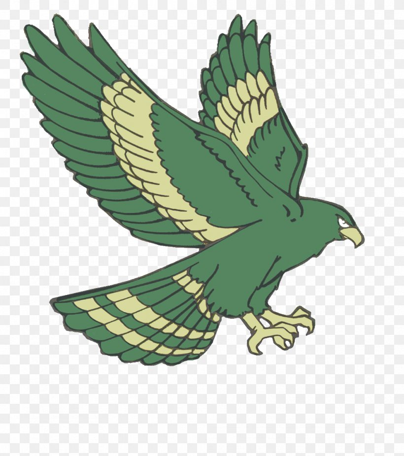 Greenfield High School Atlanta Hawks Sports, PNG, 988x1116px, Greenfield High School, Atlanta Hawks, Beak, Bird, Bird Of Prey Download Free