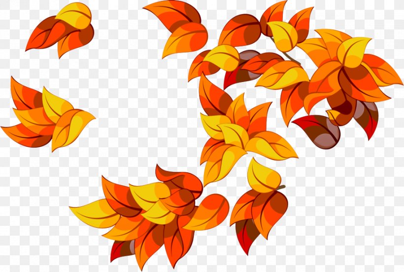 Orange, PNG, 913x617px, Leaf, Flower, Orange, Petal, Plant Download Free