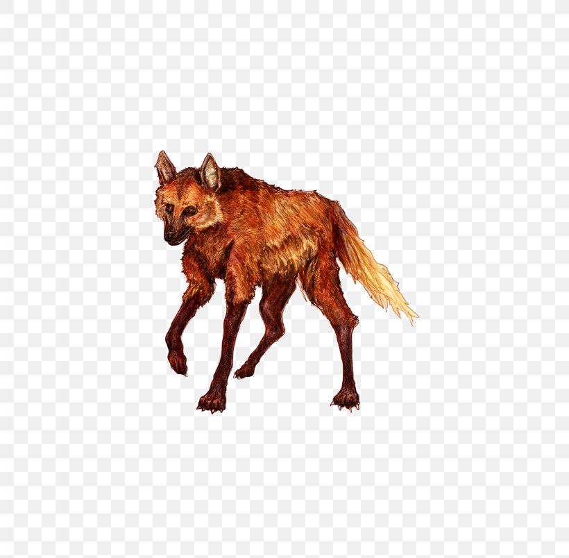 Red Fox Fauna, PNG, 3276x3216px, Red Fox, Carnivoran, Dog Like Mammal, Fauna, Organism Download Free