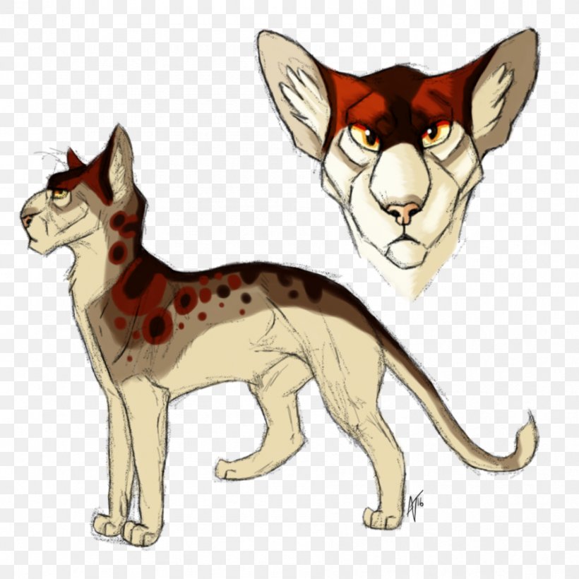 Whiskers Kitten Cat Dog Canidae, PNG, 894x894px, Whiskers, Canidae, Carnivoran, Cartoon, Cat Download Free
