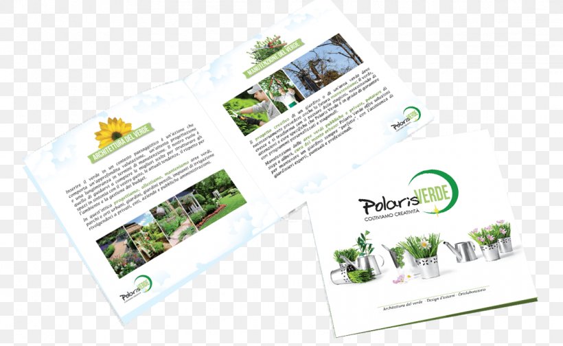 Advertising Brand Brochure, PNG, 1137x700px, Advertising, Brand, Brochure, Grass Download Free