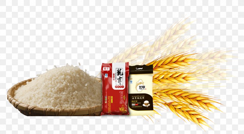 Common Wheat Rice Gadu Barley, PNG, 1255x692px, Common Wheat, Barley, Caryopsis, Commodity, Designer Download Free