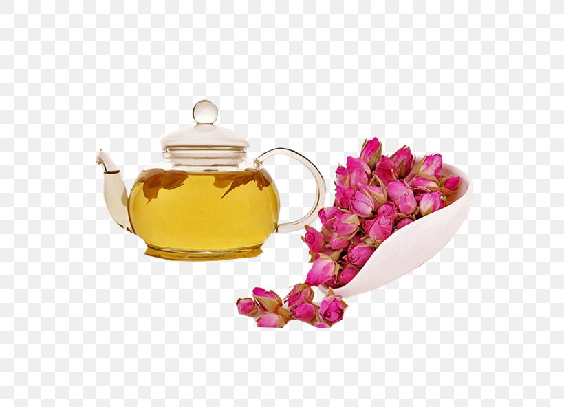 Flowering Tea Beach Rose Rosa Chinensis, PNG, 591x591px, Tea, Beach Rose, Bud, Cup, Drinking Download Free