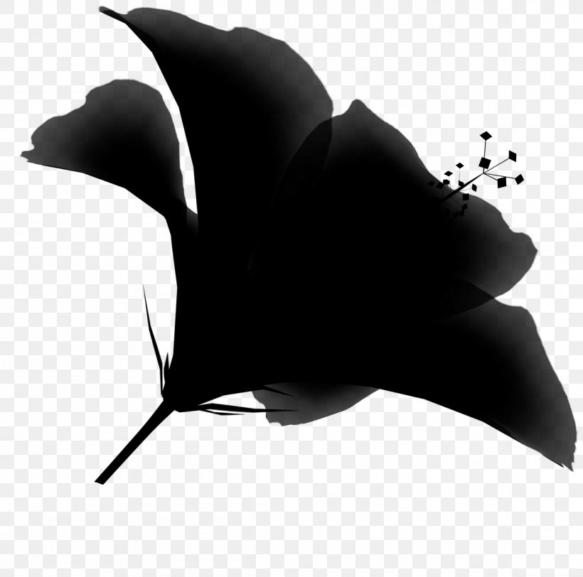 Leaf Silhouette Black M, PNG, 1153x1142px, Leaf, Black, Black M, Blackandwhite, Dolphin Download Free